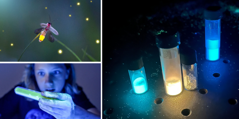 Luminiscence: no jāņtārpiņiem un spīdošiem akmeņiem līdz pētniecībai LU CFI